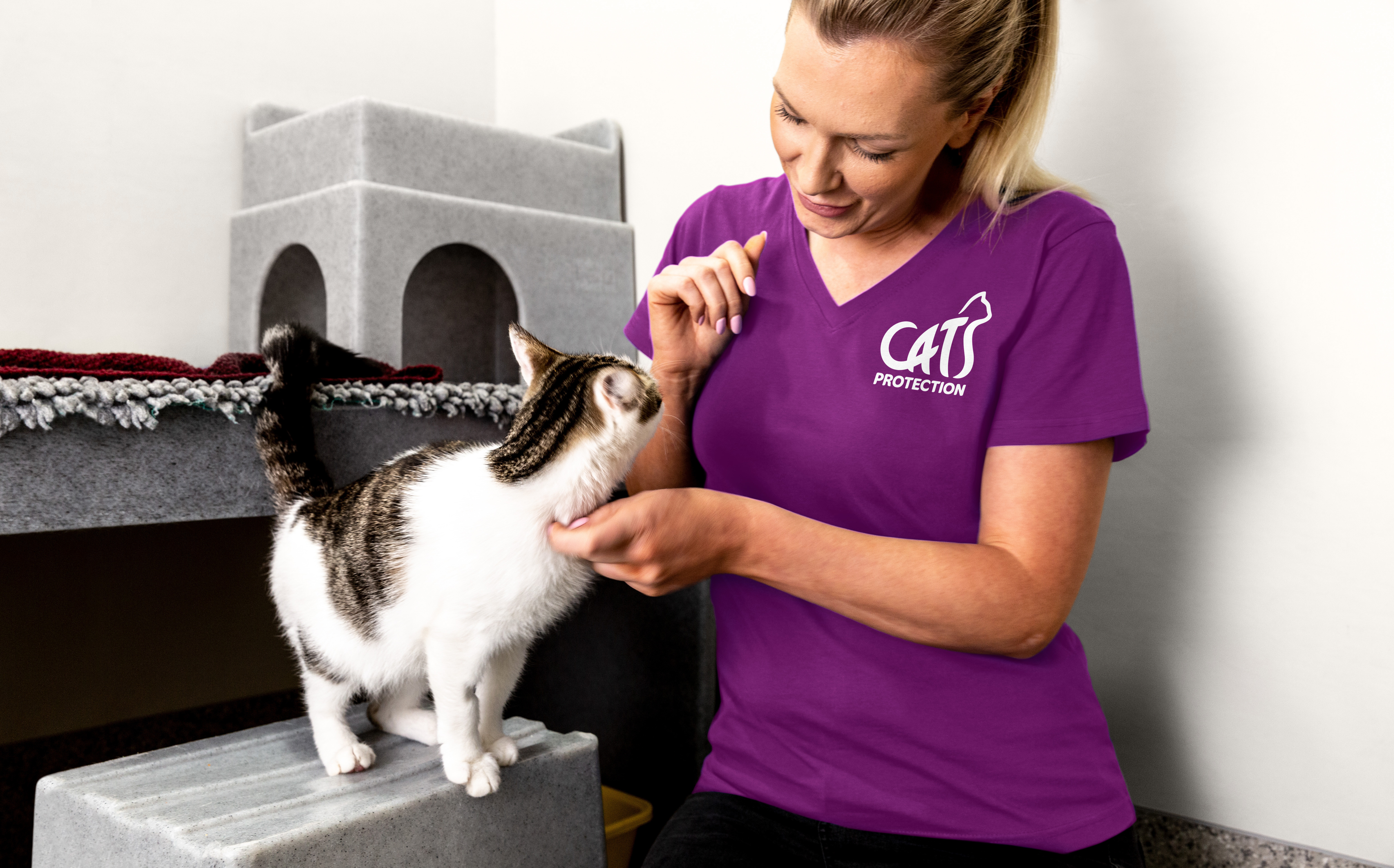 Cats Protection Uniform T Shirt Purple